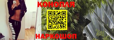 прущие крисы Малгобек