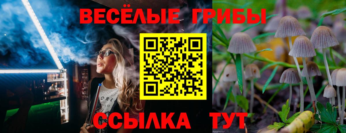 купить наркотик  Псилоцибиновые грибы Psilocybe  Сланцы  Вход с VPN  Галлюциногенные грибы Magic Shrooms 