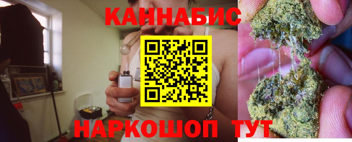 Канабис план Сланцы